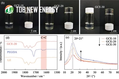 Dual-lithium-salt Gel Complex Electrolyte
